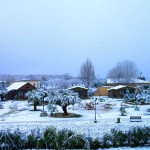 El complejo cubierto de nieve